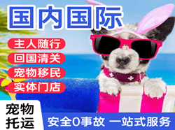 郑州机场托运国际宠物托运 【国